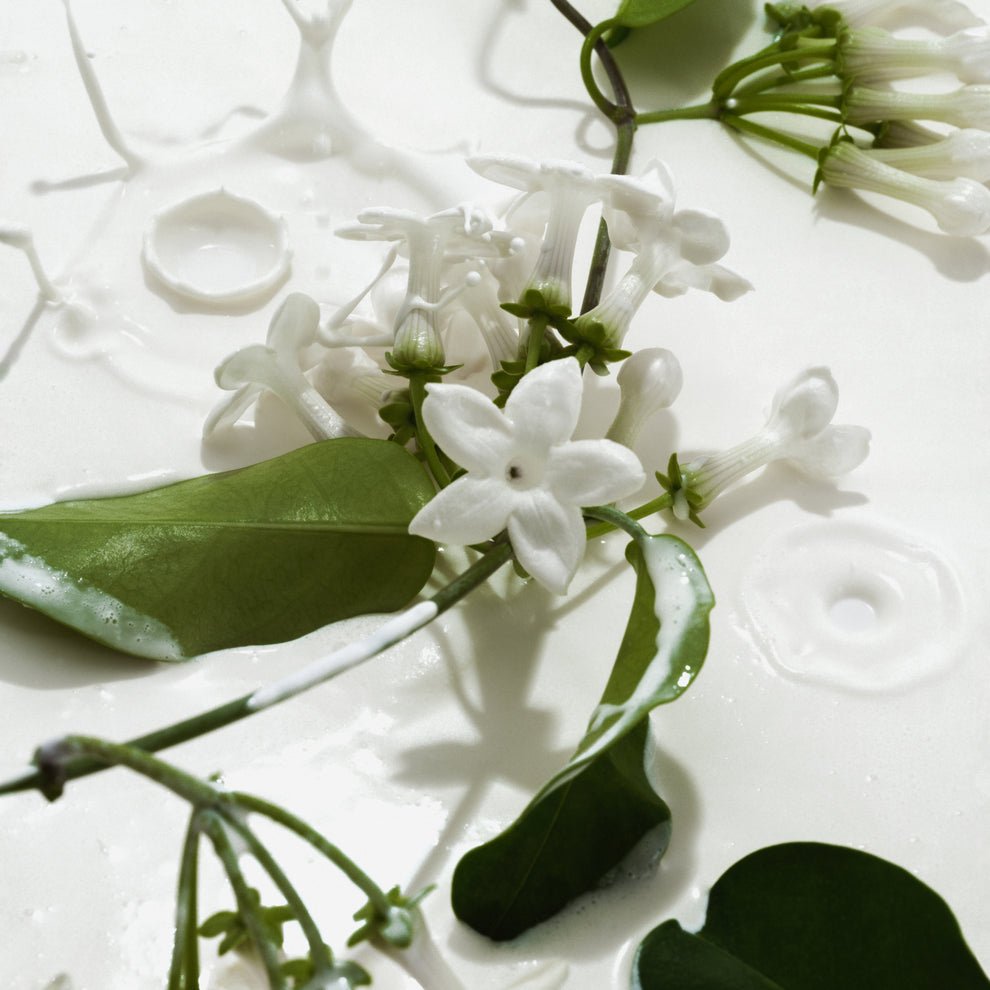 Phlur Body Mist - Zine Beauty Shop - Zine Beauty Shop