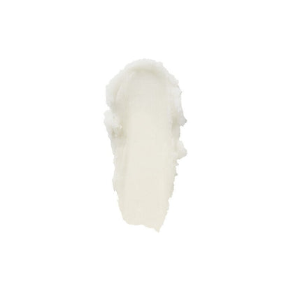 elf Lip Exfoliator - Zin Beauty Shop - Zine Beauty Shop