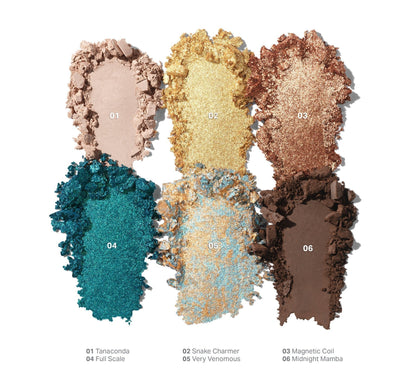Morphe ChromaPlus Eyeshadow Palette - Zin Beauty Shop - Zine Beauty Shop