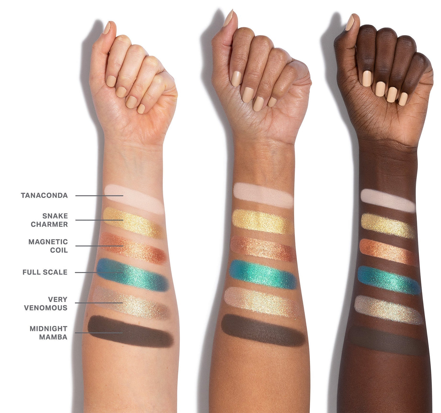 Morphe ChromaPlus Eyeshadow Palette - Zin Beauty Shop - Zine Beauty Shop