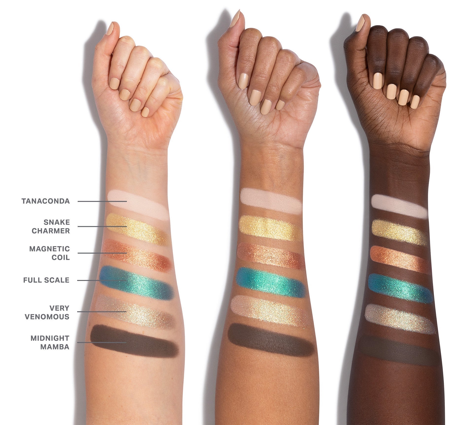 Morphe ChromaPlus Eyeshadow Palette - Zin Beauty Shop - Zine Beauty Shop
