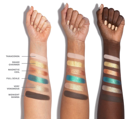 Morphe ChromaPlus Eyeshadow Palette - Zin Beauty Shop - Zine Beauty Shop