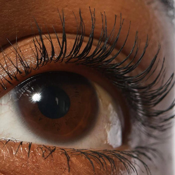 REFY Lash Sculpt Lengthen and Lift Mascara - Zin Beauty Shop - Zine Beauty Shop