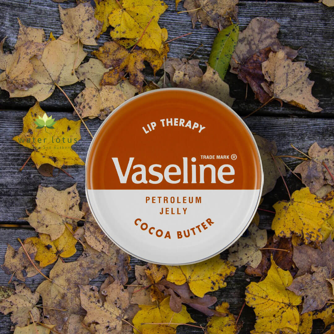 Vaseline Lip Therapy Cocoa Butter 20g