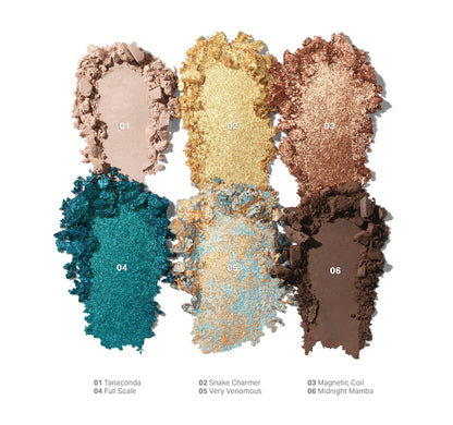 Morphe ChromaPlus Eyeshadow Palette - Zine Beauty Shop